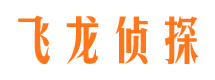 金台侦探